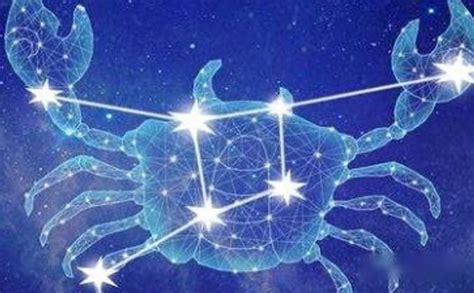 小巴西龜 巨蟹適合星座